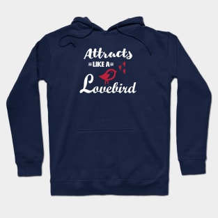 Law of Attractions Hoodie